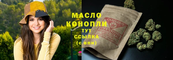 спайс Каменка