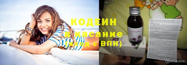 спайс Каменка