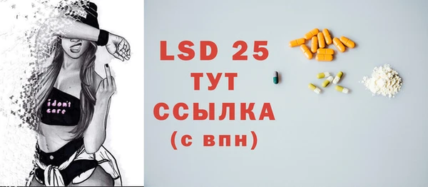 спайс Каменка