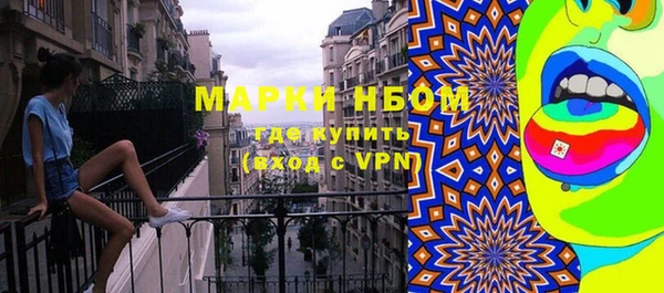 спайс Каменка