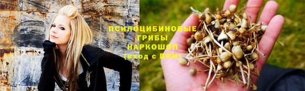 гашик Каменногорск