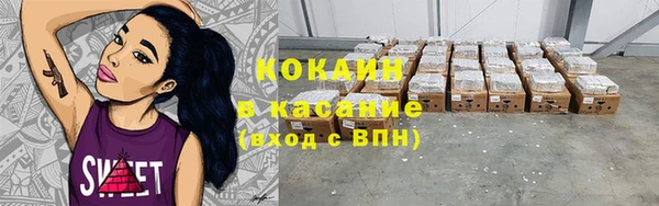 гашик Каменногорск