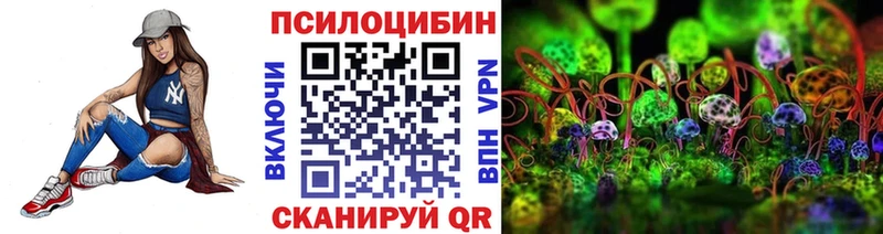 Купить  Приморск  Галлюциногенные грибы мицелий 