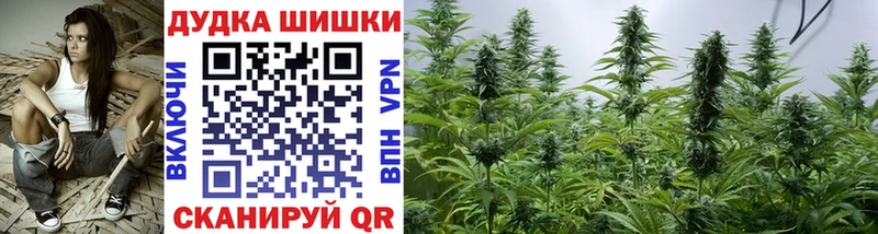 Купить  Приморск  МАРИХУАНА THC 21% 
